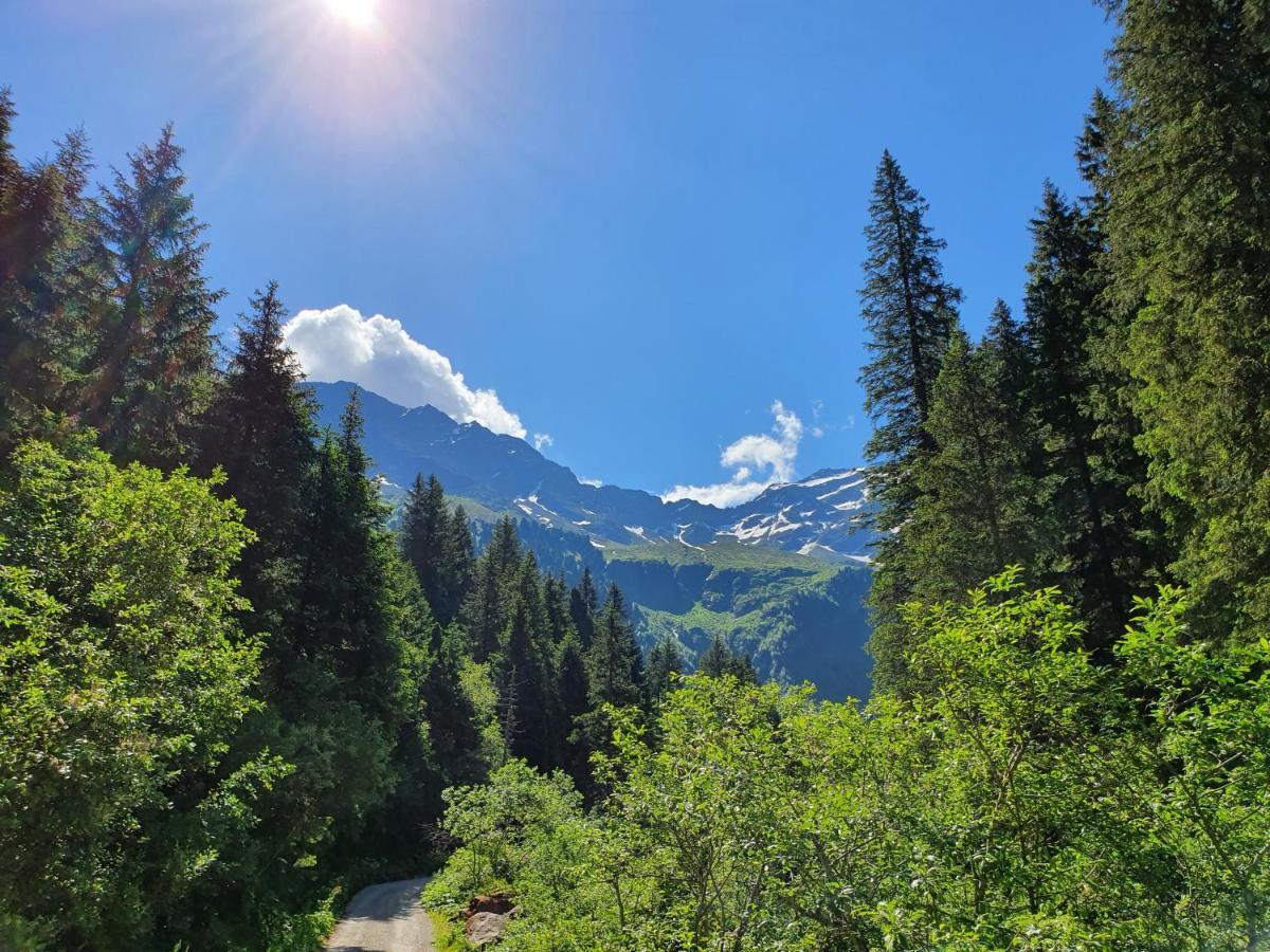Appartamento Haus Wohleb Fulpmes Esterno foto